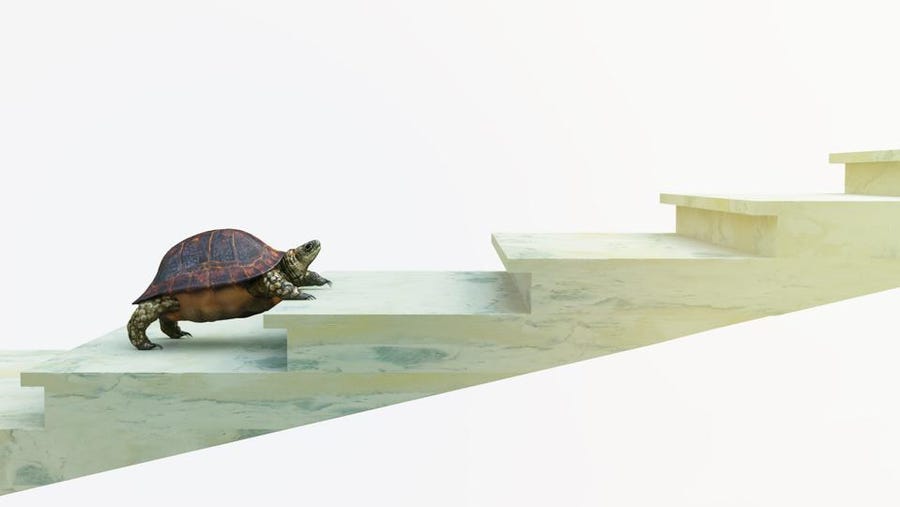 February 13, 2025—Earn 5% And Up – Forbes Advisor